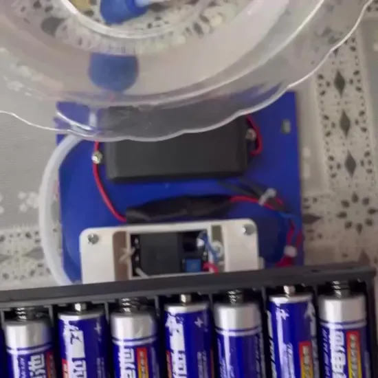 Battery Powered 400mg/Hr Mini Ozone Generator with Battery Box
